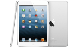 WH Prize - Apple iPad Mini