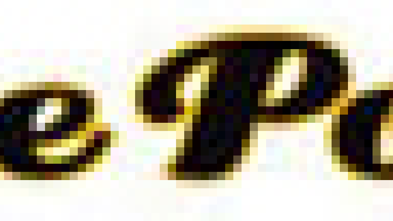 8598